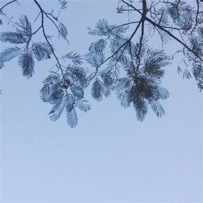 人工智能ETF华夏（515070）涨2.78%，成交额2.54亿元